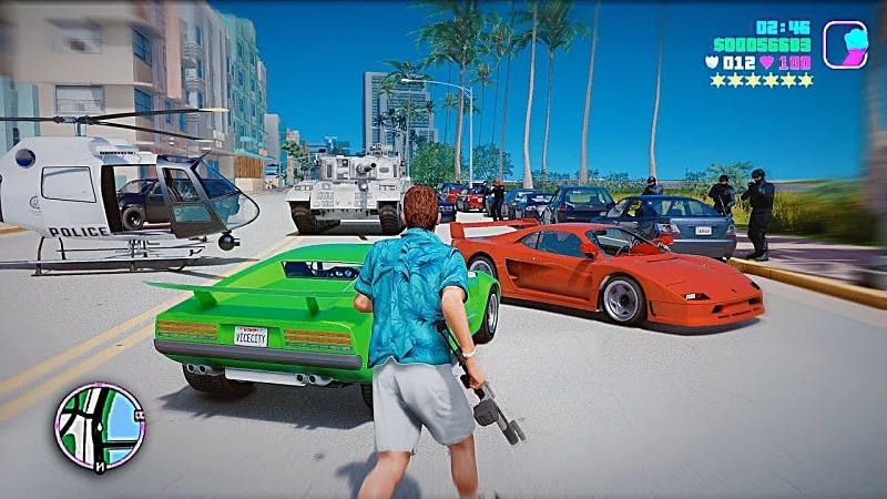 Grand Theft Auto Vice City (10)